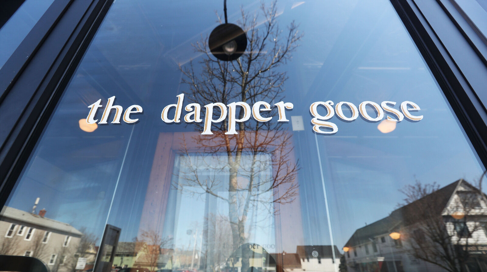 The dapper goose